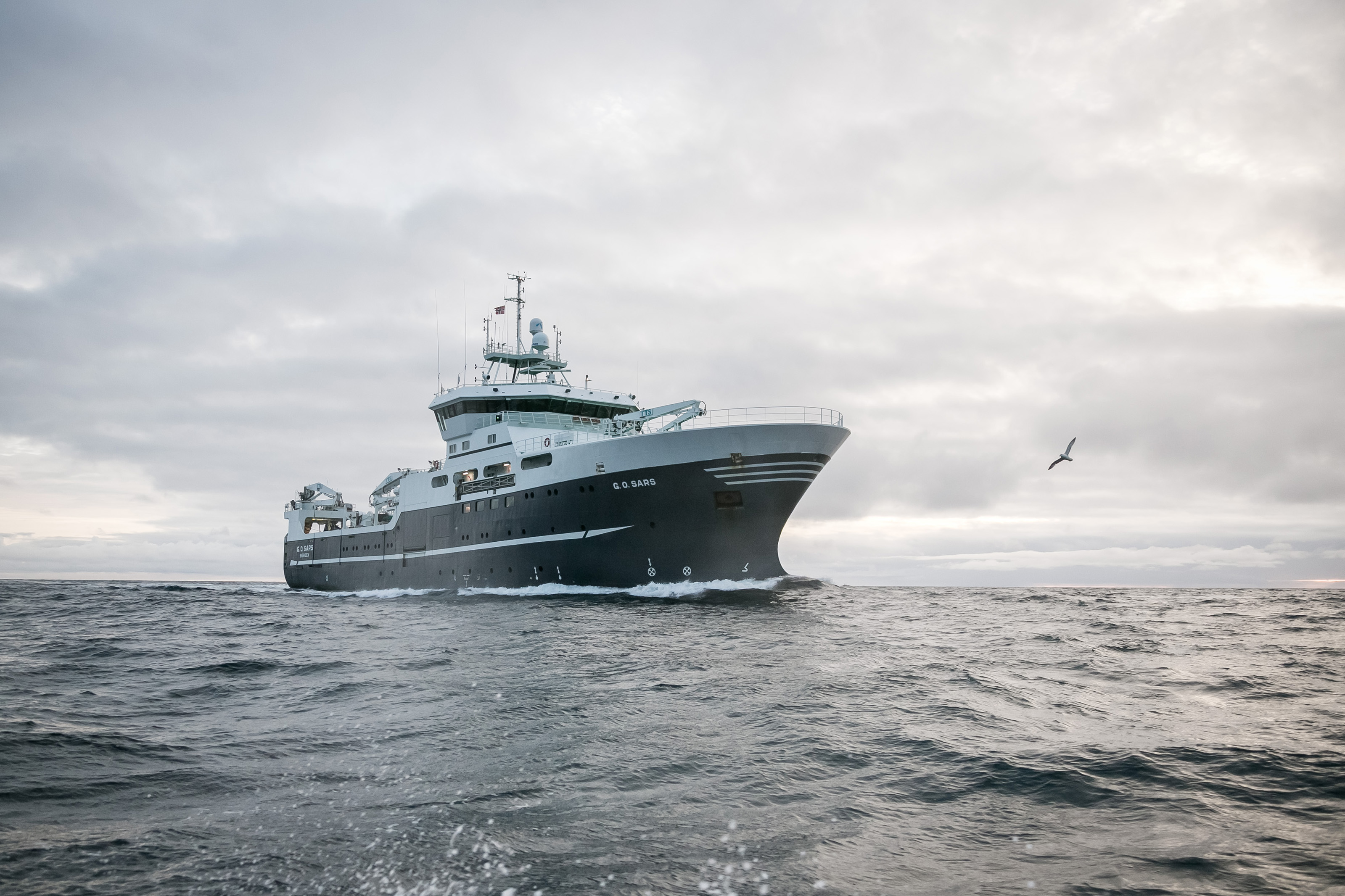 picture of boat