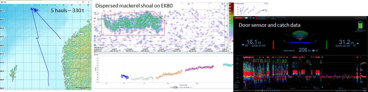 Echosounder marks